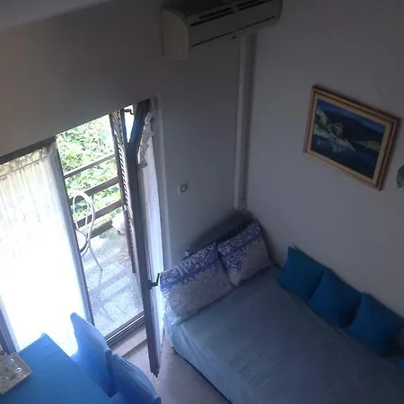 Apartment Milena *