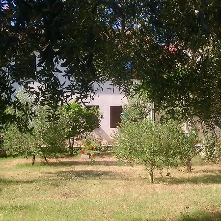 Appartamento Milena